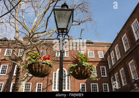 Staple Inn High Holborn, in der Stadt von London, England, Vereinigtes Königreich Stockfoto