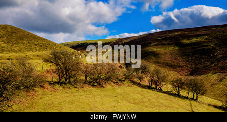 Nordwales-Landschaft in der Nähe von Llangwyfan Stockfoto