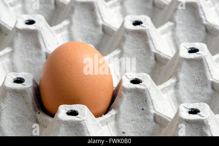 frisches Ei auf Tablett Paket Papierkarton Stockfoto