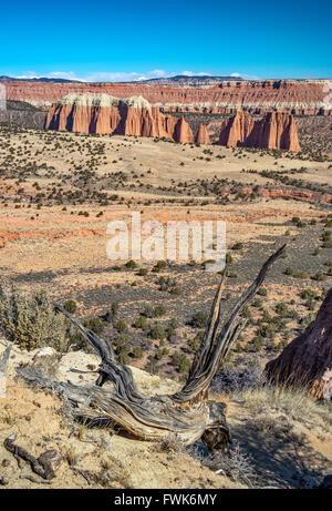 Türmen und Klippen in Upper Cathedral Valley, Capitol Reef National Park, Colorado Plateau, Utah, USA Stockfoto