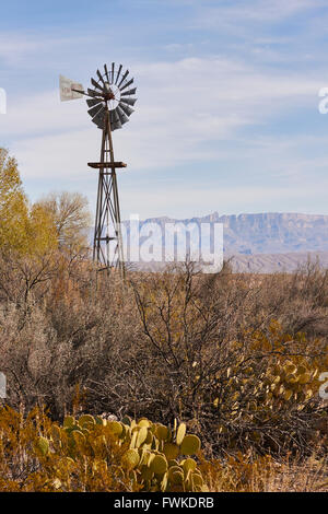 Windmühle Wasser Pumpe, Dugout Wells, Big Bend National Park, Texas, USA Stockfoto