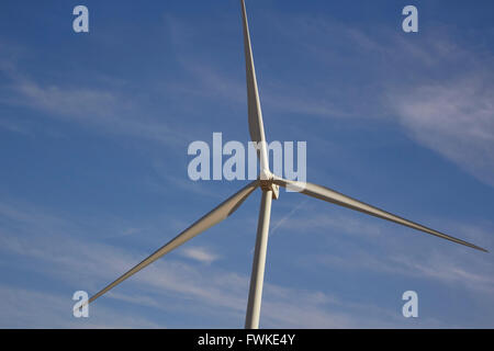 Windkraftanlagen in der Nähe von Amarillo, Texas, USA Stockfoto