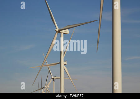 Generator-Windkraftanlagen in der Nähe von Amarillo, Texas, USA Stockfoto