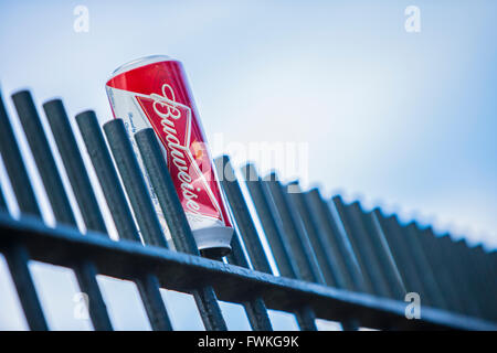 Budweiser kann auf Zaun Geländer Müll Müll Stockfoto