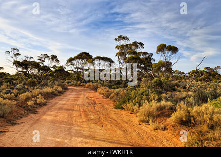 Remote-unbefestigte Straße im Outback Australien bei Sonnenuntergang von warmen Sonne beschienen. Gum-Bäume und Sträucher sind einheimische Pflanzen in Western Australia. Stockfoto