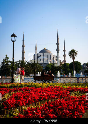 Blick über rote und gelbe Blume Garten im Sultanahment Park, die berühmte blaue Moschee (Sultan Ahmed Mosque) in Istanbul, Türkei Stockfoto