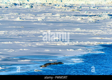 Aussicht auf dem Weg von Vik zum und vom Jokullsarlon - der Eisberg-Lagune Stockfoto