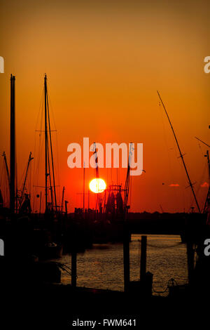 Sonnenuntergang über Krabbenkutter angedockt entlang Shem Creek in Mt. Pleasant ein Vorort von Charleston, South Carolina. Stockfoto