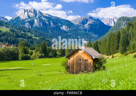 Sommer-Blick über Felder und die Hütte in den Dolomiten des Fassatals Stockfoto