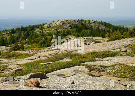 Blick von der erhöhten Platz an die Spitze des Hügels mit Felsbrocken und grüne Tannen. Stockfoto