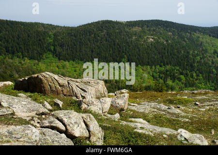 Ein Blick über die Hügel mit Pisten bedeckt in den Bäumen mehrere grüne Farbtöne mit riesigen Felsbrocken im Vordergrund. Stockfoto