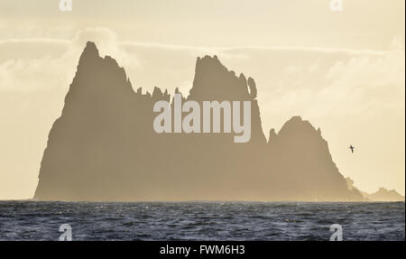 "Das Schloss", Chatham-Inseln, Pazifik off the Coast of New Zealand Stockfoto