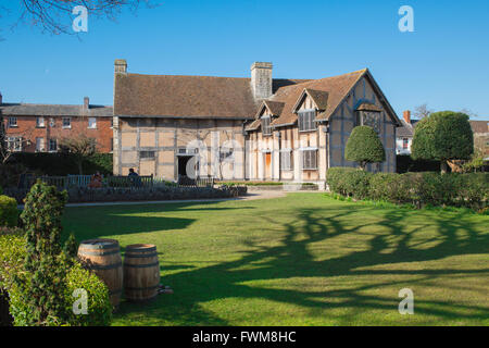 Rückansicht des Gartens und des mittelalterlichen Fachwerkhauses, in dem Shakespeare geboren wurde (1564) in der Henley Street, Stratford Upon Avon, England Stockfoto