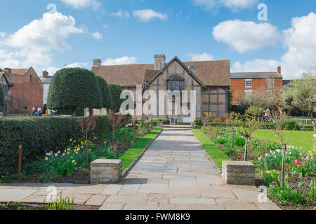 Die Rückseite der mittelalterlichen Fachwerkhauses in dem Shakespeare (1564) in Henley Street, Stratford-Upon-Avon, England geboren wurde Stockfoto