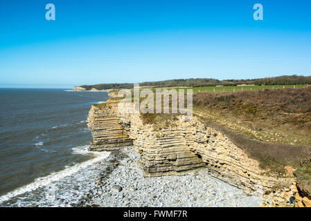 Küstenweg mit Blick auf einer Landzunge und Klippen. Stockfoto