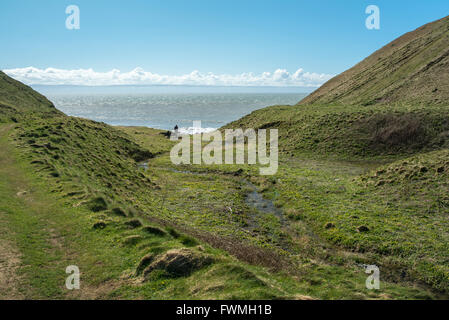 Marcross Brook bei seiner letzten Ausführung nach unten zum Meer zwischen den Klippen bei Nash Point. Stockfoto