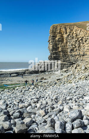 Überqueren die Felsen bei Nash Point an der Südküste Wales Erbe. Stockfoto