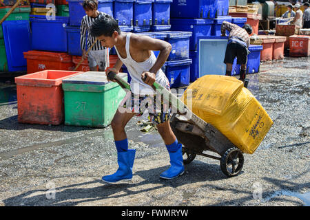 Szenen aus dem San Pya Fischmarkt in Yangon, Myanmar Stockfoto