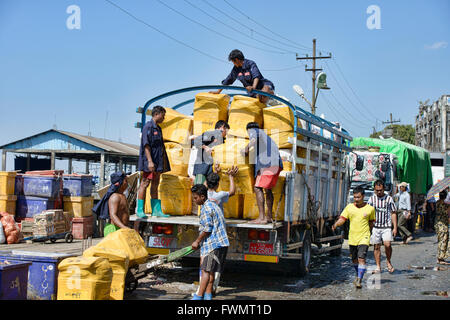 Szenen aus dem San Pya Fischmarkt in Yangon, Myanmar Stockfoto