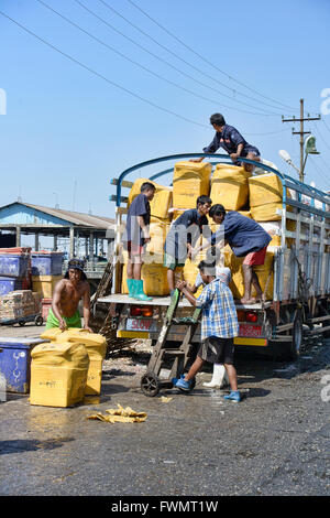 Szenen aus dem San Pya Fischmarkt in Yangon, Myanmar Stockfoto