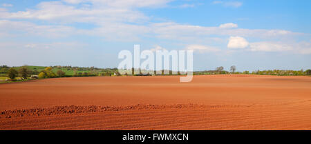 Ähnlich wie bei D8B1AC unten beschnitten, Panorama-Effekt geben und blauer Himmel richten sich frisch gepflügten Feld der roten Erde Staffordshire Stockfoto