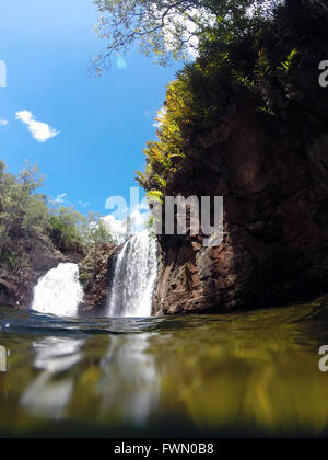 Florence Falls in der nassen Jahreszeit, Litchfield Nationalpark, Northern Territory, Australien Stockfoto