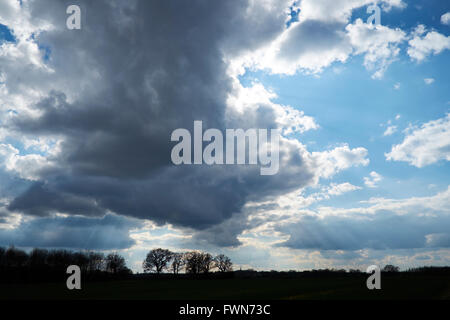 Cumulonimbus Wolken bilden gegen ein strahlend blauer Himmel über landwirtschaftliche Flächen. Bedfordshire, UK. Stockfoto