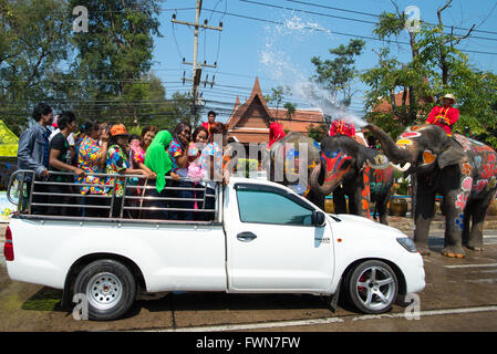 Nachtschwärmer genießen Wasser plantschen mit Elefanten während Songkran Festival am 14. April 2015 in Ayutthaya, Thailand. Stockfoto