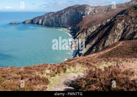 Blick über Gogarth Bucht auf Klippen auf felsigen Küste in der Nähe von North Stapel von Klippe Weg in Europäische Geopark. Anglesey Wales UK Stockfoto