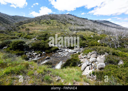 Kosciuszko-Nationalpark, New South Wales, Australien Stockfoto