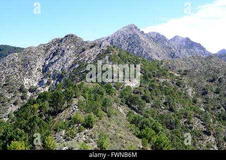 Lecero Mountain Sierra Tejeda Nationalpark Andalusien Spanien Stockfoto