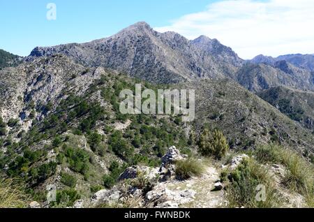 Lecero Mountain Sierra Tejeda Nationalpark Andalusien Spanien Stockfoto