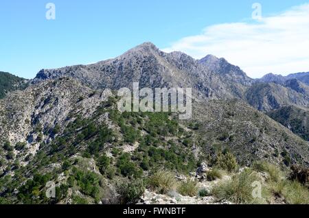 Lecero Mountain Sierra Tejeda Nationalpark Andalusien Spanien Stockfoto