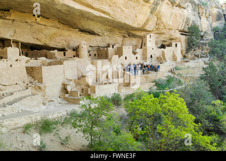 Touristen besuchen die Cliff Palace-Mesa-Verde-Nationalpark, Colorado, USA Stockfoto