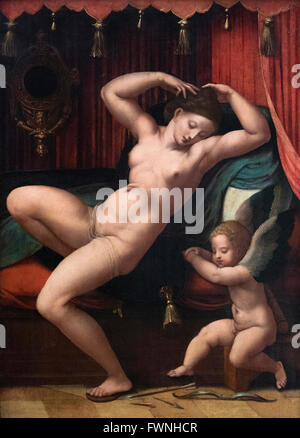 Meister der weiblichen Halbfiguren, aktiven zweiten Viertel des 16. Jahrhunderts in Antwerpen, Venus und Amor. Stockfoto