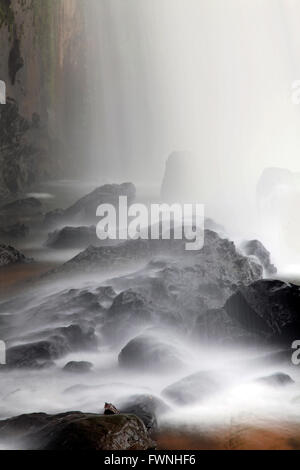 Nahaufnahme des Wasserfalls auf dem Felsen im Wald Stockfoto