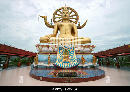 Goldene Buddha-Statue im Freien, Wahrzeichen der Insel Koh Samui Thailand Stockfoto