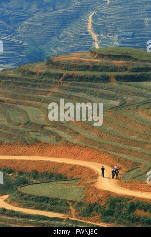 Reisenden und Hmong Dorfbewohner gehen auf Kurve Feldweg in Sapa mit und Paddel Reisfeld Stockfoto