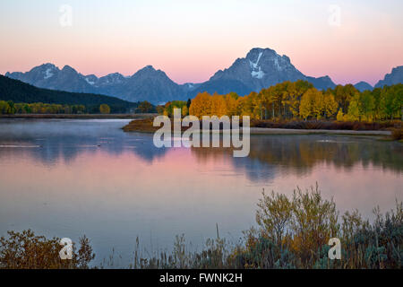 WY01433-00... WYOMING - Dawn an den Ufern des Snake River von Oxbow Bend mit Mount Moran thront in der Mitte von Te Stockfoto