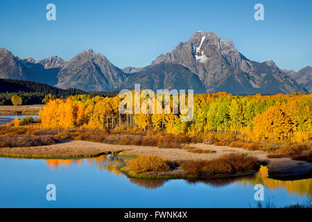 WYOMING - Sonnenlicht am frühen Morgen auf den Tetons und Espen in Herbstfarben von Oxbow Bend übersehen des Snake River. Stockfoto