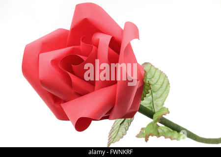 Nahaufnahme der Rose Blume Origami Papier Handwerk isoliert auf weißem Hintergrund Stockfoto
