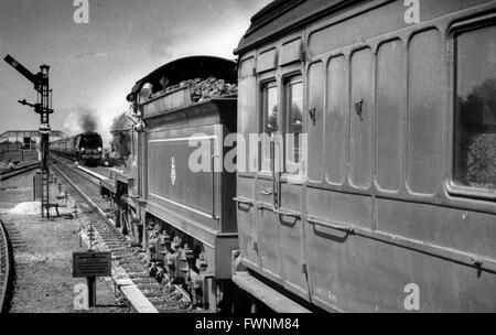 South Eastern & Chatham Railway D1 Klasse 4-4-0 Zug keine 31145 an einem unbekannten Ort mit einem Dover Boot nähert sich. Stockfoto