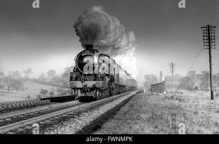 Der ländliche Charakter der Great Central Main Line zeigt sich hier als Thompson Klasse B1 4-6-0 No 61371 von Leicester. Stockfoto