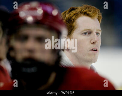 Tampa, Florida, USA. 6. April 2016. DIRK SHADD | Zeiten. Denver Co-Trainer David Carle, die Tampa Bay Lightning Matt Carle jüngerer Bruder, mit seinem Team während der Frozen Four Praxis Amalie Arena am Mittwoch auf dem Eis ist (06.04.16). David Carle war ein Spieler, aber ein Herzleiden verdrängt ihn. (Hinweis: Dies ist für den Sport Titelgeschichte wickeln) © Dirk Shadd/Tampa Bay Times / ZUMA Draht/Alamy Live News Stockfoto