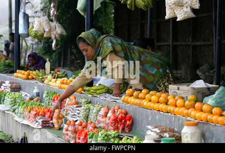 Extrem scharf Ghost Chili - Naga Jolokia Chilis in Kohima Markt, Kohima, Nagaland, Indien Stockfoto