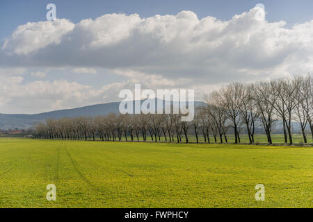 Mount Sleza mit sonnigen Frühlingshimmel und grünen Felder niedriger Schlesien Zobtenberg Nieder Schlesien Stockfoto