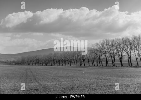 Mount Sleza mit sonnigen Frühlingshimmel und grünen Felder niedriger Schlesien Zobtenberg Nieder Schlesien Stockfoto