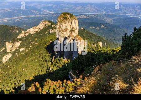 Sommer Turm Berggipfel über Zwerg Pinien Stockfoto