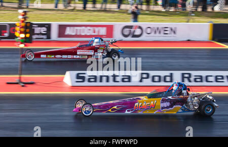 Junior halben Skala-Drag-Racing auf dem Santa Pod Raceway. Stockfoto