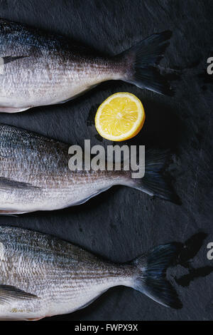 Rohe Brassen Fisch mit Kräutern Stockfoto